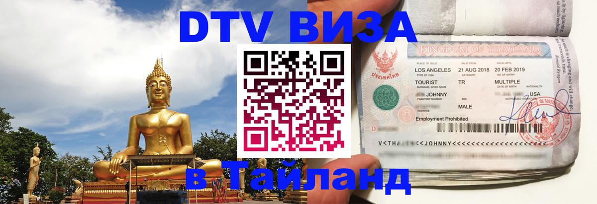 Оформление DTV визы под ключ: стоимость и тарифы, только загранпаспорт - Владимир  20.11.2025 